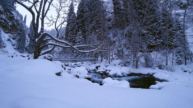 A winter forest, a swirling river, and a bridge. All the trees are covered with snow. Steep cliffs of the gorge. Dry grass sticks out from under snow. Winter fairy tale. Almarasan, Almaty, Kazakhstan