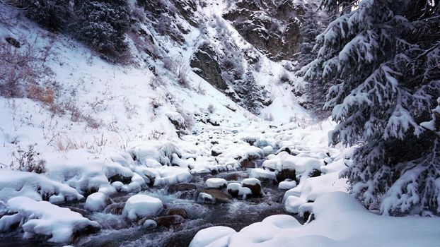 A clear mountain river runs through a snowy gorge. There is a metal bridge covered with snow. Tall spruce trees grow on the slopes of the mountains. There is steam from the river. Almarasan, Almaty