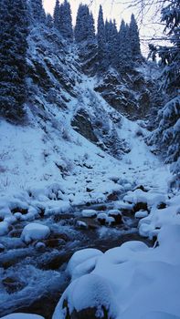 A clear mountain river runs through a snowy gorge. There is a metal bridge covered with snow. Tall spruce trees grow on the slopes of the mountains. There is steam from the river. Almarasan, Almaty
