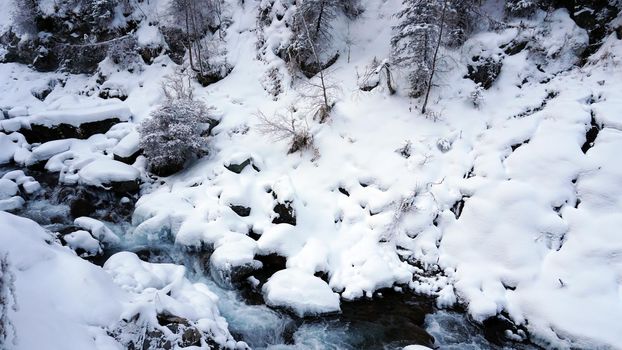 A clear mountain river runs through a snowy gorge. There is a metal bridge covered with snow. Tall spruce trees grow on the slopes of the mountains. There is steam from the river. Almarasan, Almaty