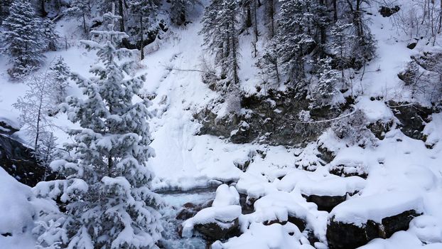 A clear mountain river runs through a snowy gorge. There is a metal bridge covered with snow. Tall spruce trees grow on the slopes of the mountains. There is steam from the river. Almarasan, Almaty