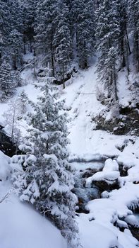 A clear mountain river runs through a snowy gorge. There is a metal bridge covered with snow. Tall spruce trees grow on the slopes of the mountains. There is steam from the river. Almarasan, Almaty