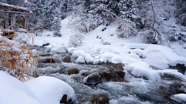 A clear mountain river runs through a snowy gorge. There is a metal bridge covered with snow. Tall spruce trees grow on the slopes of the mountains. There is steam from the river. Almarasan, Almaty