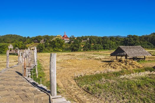 Zutongpae Bridge is the The famous bamboo bridge in Mae Hong Son province, Thailand.