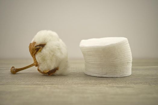 Stack of round embossed cotton pads and natural cotton stem boll. Organic cotton products