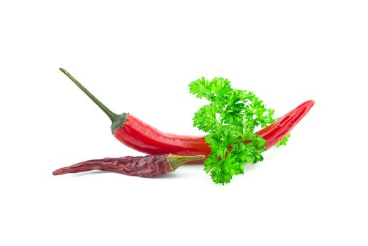 Dried and fresh red chili peppers and a sprig of parsley on a white background
