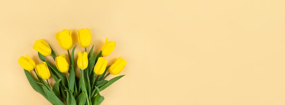 Bouquet of yellow tulips on a beige background with copy space.