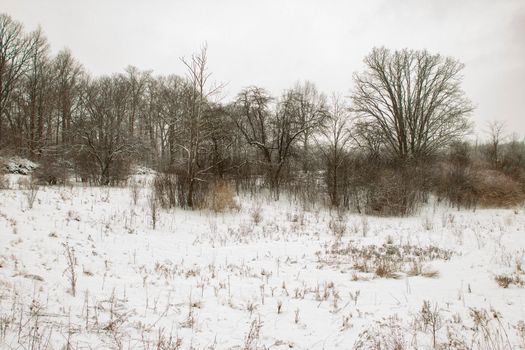 minimalist winter landscape panorama style photo. Unique perspective. High quality photo