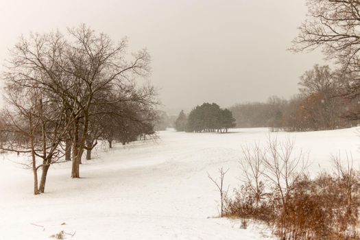 Winter landscape in Canada after a fresh snow fall . High quality photo