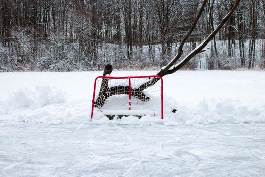 a hockey net set up on a frozen outdoor pond. Outdoor pond hockey is a canadian staple . High quality photo