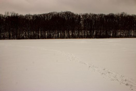 WINTER PANORAMIC PHOTOS FROM A FROZEN POND . High quality photo