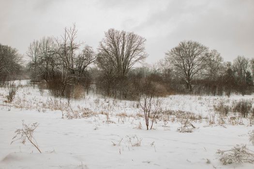 winter surrealism landscape photography in London Canada . High quality photo