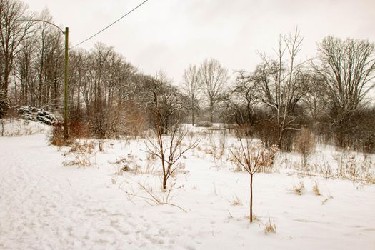 Winter hiking in London Ontario Canada. High quality photo