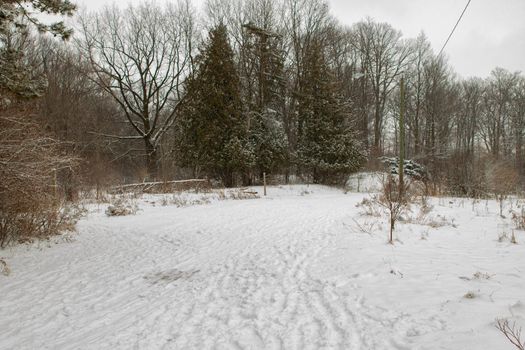 winter surrealism landscape photography in London Canada . High quality photo