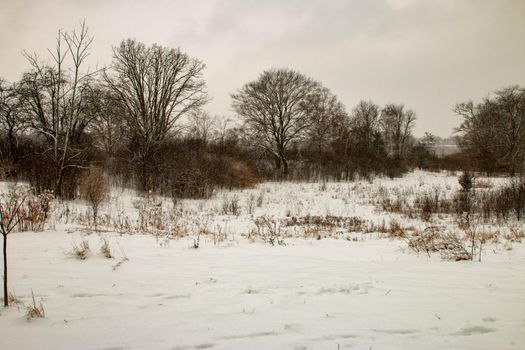 Winter hiking in London Ontario Canada. High quality photo