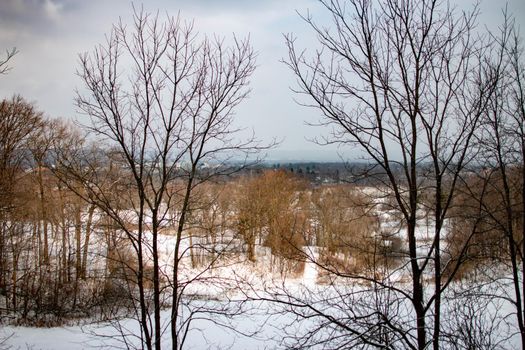 Winter landscape in Canada after a fresh snow fall . High quality photo