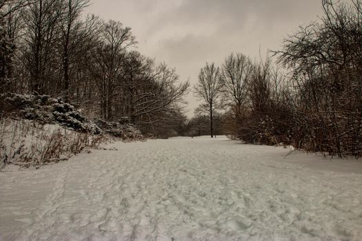 Winter hiking in London Ontario Canada. High quality photo