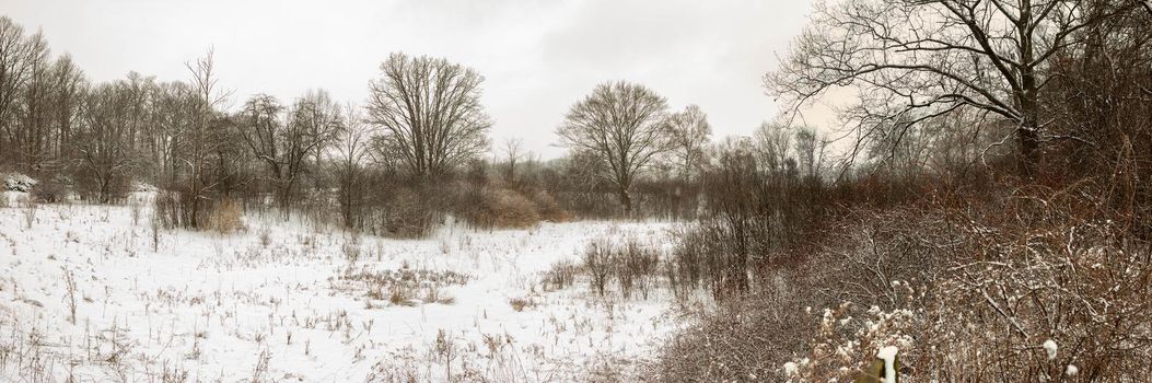 minimalist winter landscape panorama style photo. Unique perspective. High quality photo