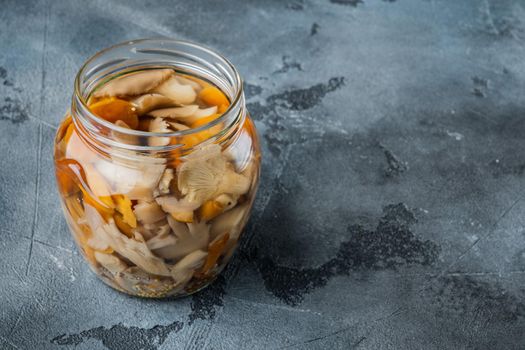 Marinated mushrooms set, on gray background , with space for text copyspace