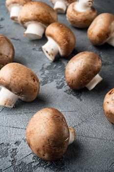 Royal mushrooms champignon whole set, on gray background