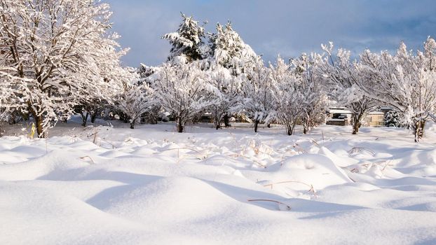 Fresh white snow falling at public park cover road and car in winter season at Kawaguchiko,Japan.