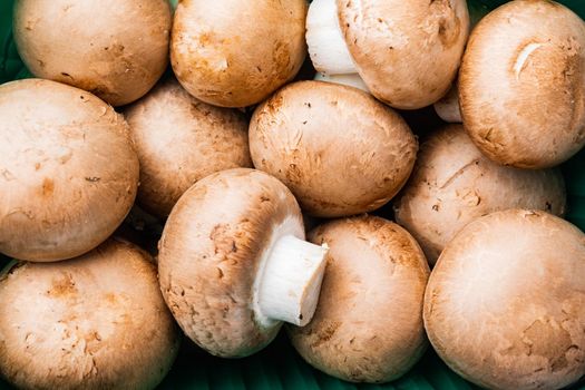 Royal mushrooms champignon whole set, on black background, top view flat lay