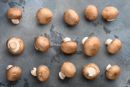 Royal mushrooms champignon whole set, on gray background, top view flat lay