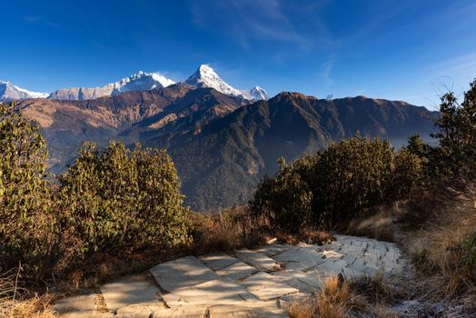 Walking trail to Poon hill view point at Nepal. Poon hill is the famous view point in Gorepani village to see beautiful sunrise over Annapurna mountain range in Nepal