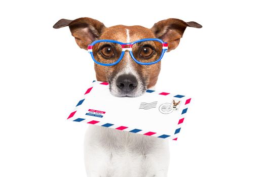 dog with glasses delivering air mail envelope with stamp