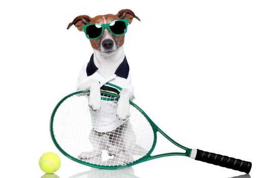 tennis dog with racket and glasses