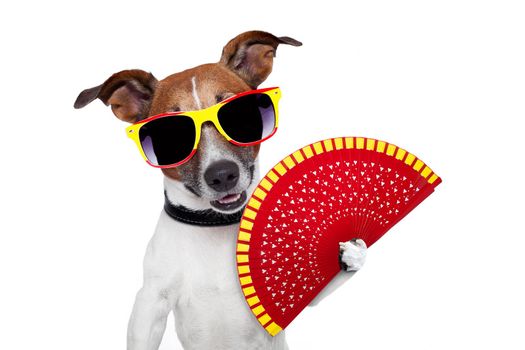 spanish dog with a red hand fan