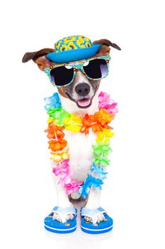 dog on vacation with hawaiian lei