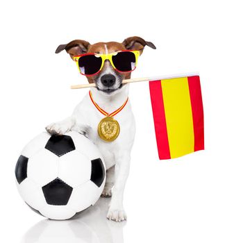 dog as soccer with medal and  flag
