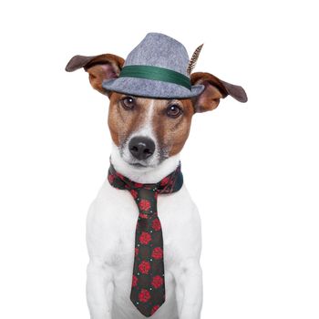 bavarian dog with traditional tie and hat