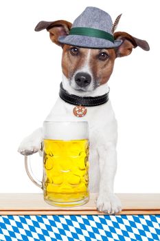 oktoberfest dog with bavarian beer mug