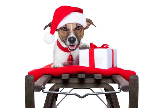 christmas dog on sleigh as santa