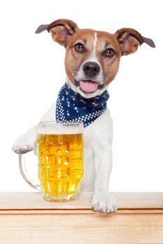 drunk dog with beer