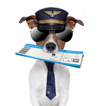 boarding pass dog  with hat and tie