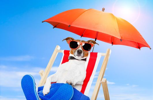 dog sunbathing on a deck chair with red umbrella