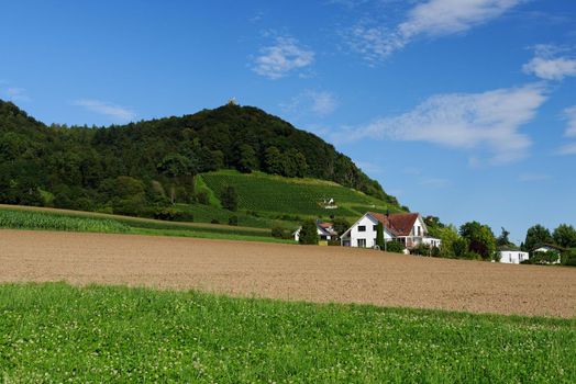 A   Rural landscape in Switzerland: hill, forest, meadows and a farm