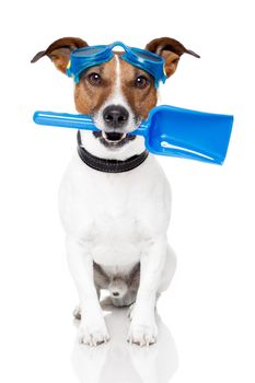 dog with goggles and a shovel