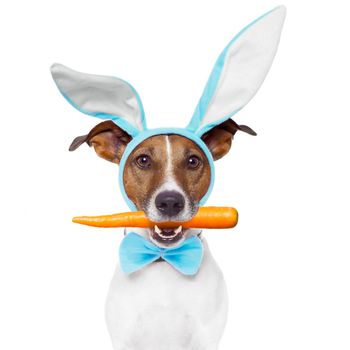 dog with bunny ears and a carrot