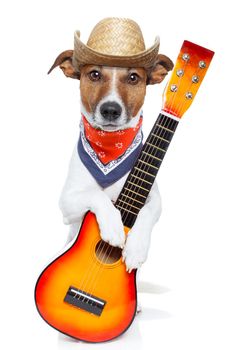 cowboy dog guitar hat