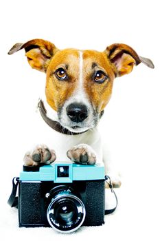 dog photo camera