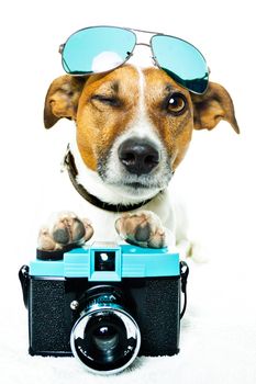 dog photo camera