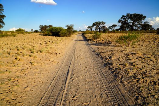 Long dirt road in the open Savannah, Africa