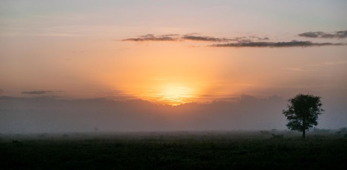 Sunrise in Serengeti national park Tanzania, cloudy sky, silhouette of tree. High quality photo