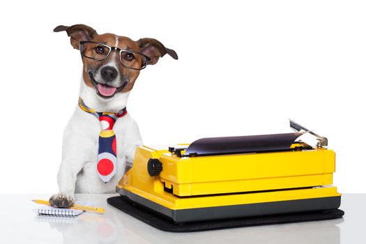 business dog typewriter tie glasses