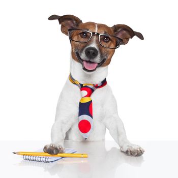 business dog typewriter tie glasses