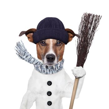 rain broom winter dog